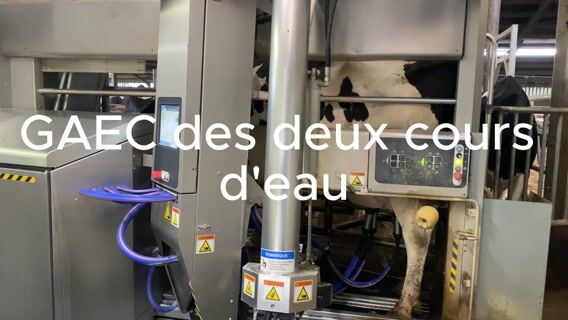 la traite robotisé et le paturage