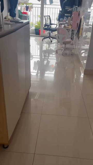 Cho thuê Căn hộ Chung cư Moonlight Park View Quận Bình Tân Tp Hồ Chí Minh diện tích 46 m² giá 9 triệu/tháng