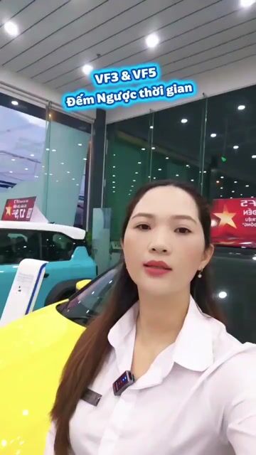 VinFast VF5 2025 S. Mua bán Ô tô tại Quận 1 Tp Hồ Chí Minh được đăng bởi VinFast Đại Lộc hình 1