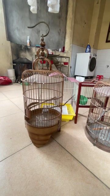 Bán nhanh, 350k, cả 4.. Mua bán Phụ kiện, Thức ăn, Dịch vụ tại Quận Bắc Từ Liêm Hà Nội được đăng bởi Hoàng Quốc Việt hình 1