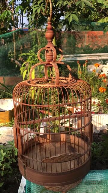 Lồng chim tre 22x24. Mua bán Phụ kiện, Thức ăn, Dịch vụ tại Huyện Trà Ôn Vĩnh Long được đăng bởi Gia Hưng hình 1