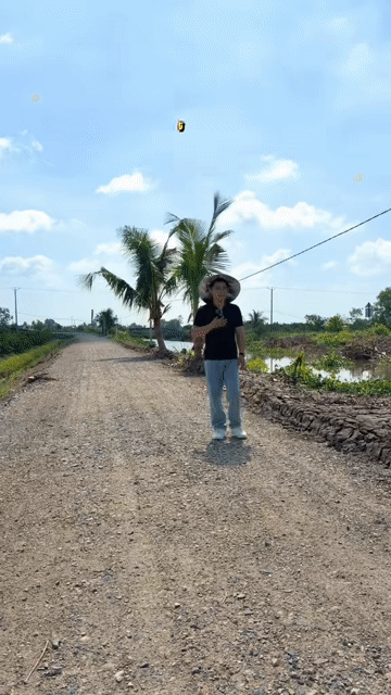 Mua bán Đất Huyện Bến Lức Long An diện tích 500 m² giá 590 triệu