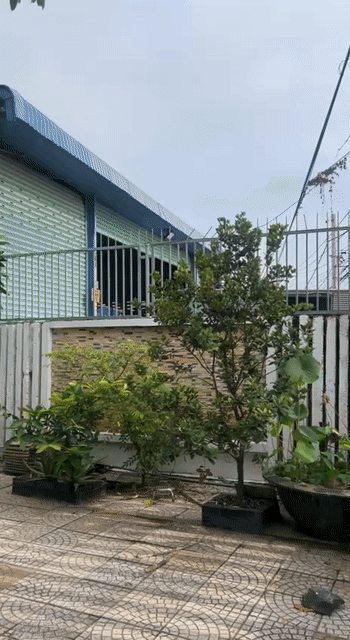 Cho thuê Phòng trọ Huyện Đức Hòa Long An diện tích 640 m² giá 30 triệu/tháng