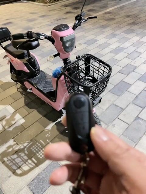 Xe đạp điện Nữ màu Hồng Đã sử dụng. Mua bán Xe điện tại Quận Tây Hồ Hà Nội được đăng bởi Nguyen Hai hình 1