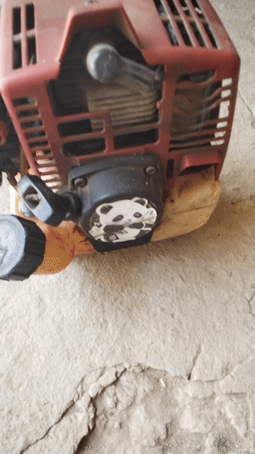 Maru 20. Mua bán Đồ chuyên dụng, Giống nuôi trồng tại Huyện Càng Long Trà Vinh được đăng bởi alo là có hình 1