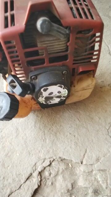 Maru 20. Mua bán Đồ chuyên dụng, Giống nuôi trồng tại Huyện Càng Long Trà Vinh được đăng bởi alo là có hình 1