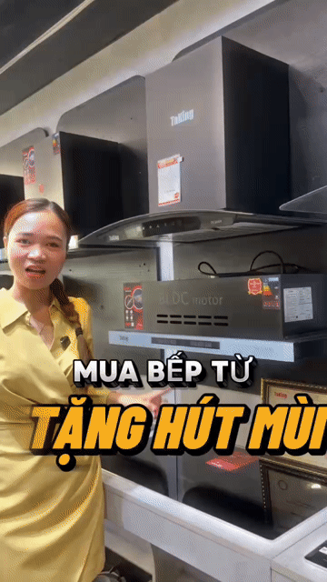 Bếp từ đôi Taking TK 866I. Mua bán Bếp, lò, đồ điện nhà bếp tại Huyện Hòa Vang Đà Nẵng được đăng bởi Nội thất tủ bếp TST hình 1