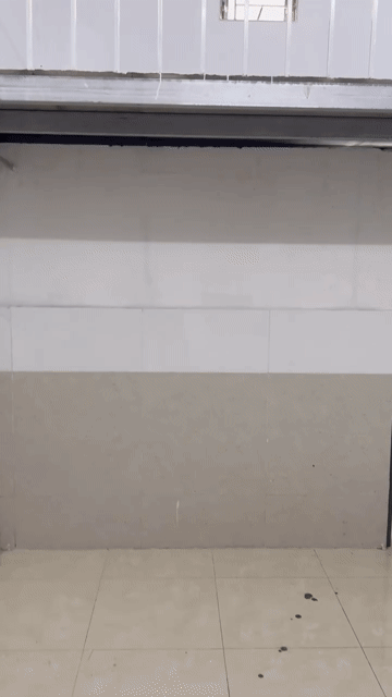 Cho thuê Phòng trọ Thành phố Biên Hòa Đồng Nai diện tích 30 m² giá 1,2 triệu/tháng
