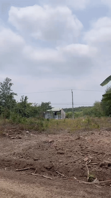 Mua bán Đất Thành phố Đồng Xoài Bình Phước diện tích 1000 m² giá 350 triệu