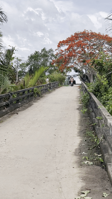 Mua bán Đất Huyện Cù Lao Dung Sóc Trăng diện tích 29000 m² giá 7,25 tỷ