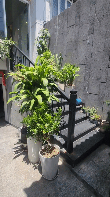Cho thuê Văn phòng, Mặt bằng kinh doanh Quận Phú Nhuận Tp Hồ Chí Minh diện tích 80 m² giá 20 triệu/tháng