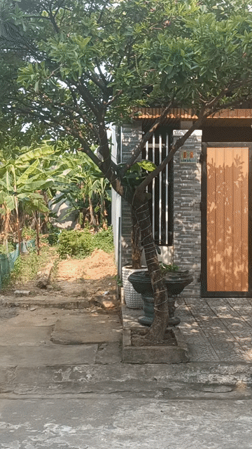 Mua bán Đất Quận Cẩm Lệ Đà Nẵng diện tích 100 m² giá 4,95 tỷ