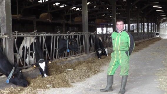 Innovation et optimisation du travail en élevage