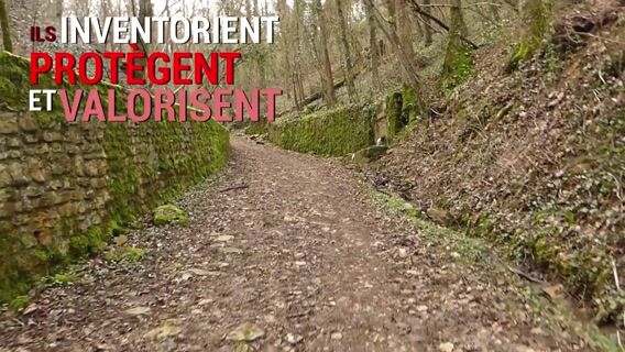 Chargés d'études naturalistes