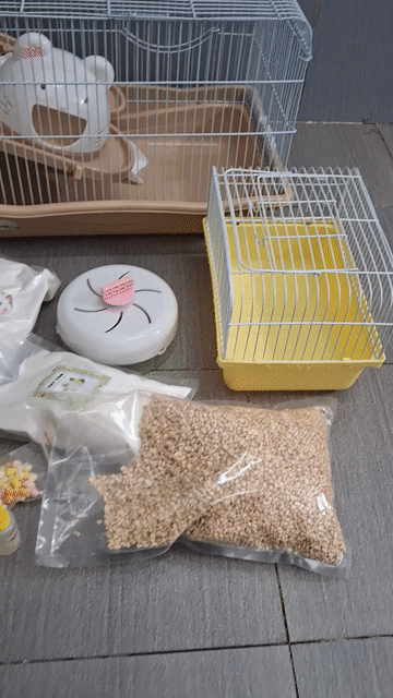 Lồng vận chuyển Chuột Hamster Mới. Mua bán Phụ kiện, Thức ăn, Dịch vụ tại Quận 4 Tp Hồ Chí Minh được đăng bởi Hạnh hình 1