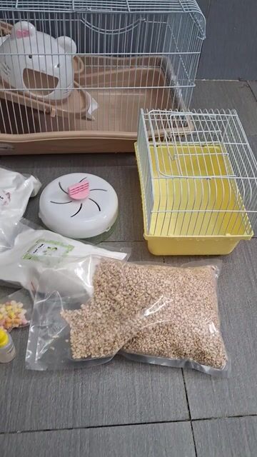 Lồng vận chuyển Chuột Hamster Mới. Mua bán Phụ kiện, Thức ăn, Dịch vụ tại Quận 4 Tp Hồ Chí Minh được đăng bởi Hạnh hình 1