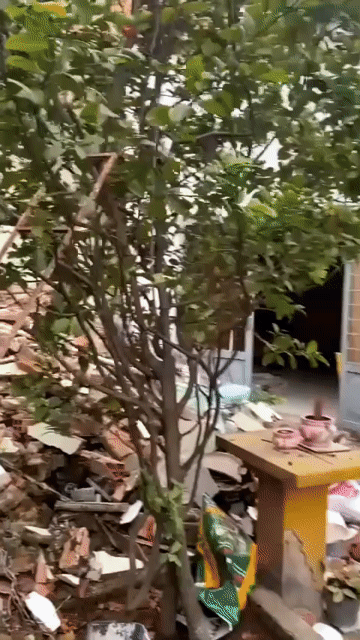 Mua bán Nhà ở Thành phố Thủ Đức Tp Hồ Chí Minh diện tích 96 m² giá 3,9 tỷ