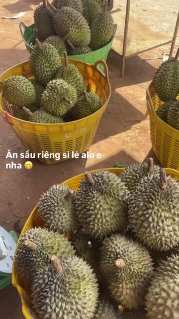 Sầu riêng Ri 6 cơm vàng dẻo. Mua bán Đồ ăn, thực phẩm và các loại khác tại Thành phố Buôn Ma Thuột Đắk Lắk được đăng bởi Huynh hình 1