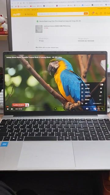 notebook Celeron N4000 6GB/2TB Đã dùng. Mua bán Laptop tại Quận Hoàng Mai Hà Nội được đăng bởi Thắng hình 1