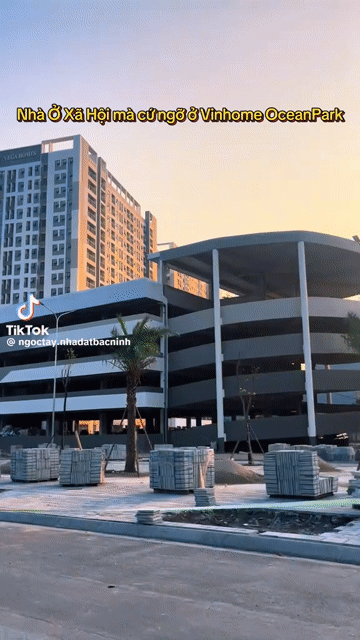 Mua bán Căn hộ Chung cư Vega Homes Huyện Việt Yên Bắc Giang diện tích 54.9 m² giá 2,35 tỷ