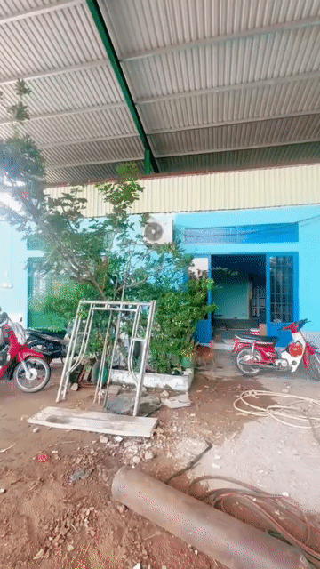 Cho thuê Văn phòng, Mặt bằng kinh doanh Huyện Cần Giuộc Long An diện tích 10000 m² giá 150 triệu/tháng