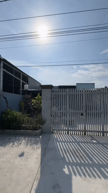 Mua bán Đất Huyện Củ Chi Tp Hồ Chí Minh diện tích 280 m² giá 620 triệu