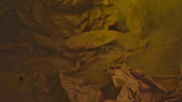 Model - Michell_Flores bigass