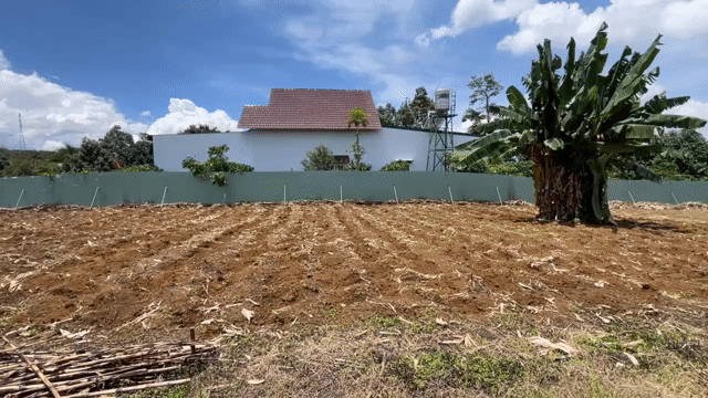 Mua bán Đất Huyện Bảo Lâm Lâm Đồng diện tích 104 m² giá 550 triệu