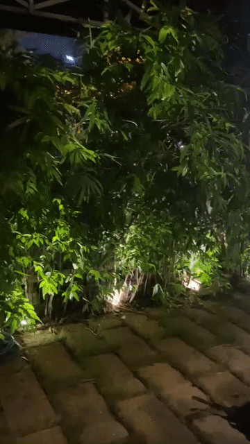 Mua bán Nhà ở Thành phố Thủ Đức Tp Hồ Chí Minh diện tích 250 m² giá 20 tỷ