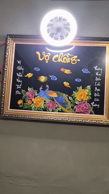 Quạt trần nhựa màu trắng. Mua bán Quạt tại Thành phố Biên Hòa Đồng Nai được đăng bởi hiếu hình 1