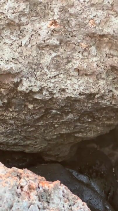 📍Kahuku Farms #WhattaEat #DiacoverFoodTogether