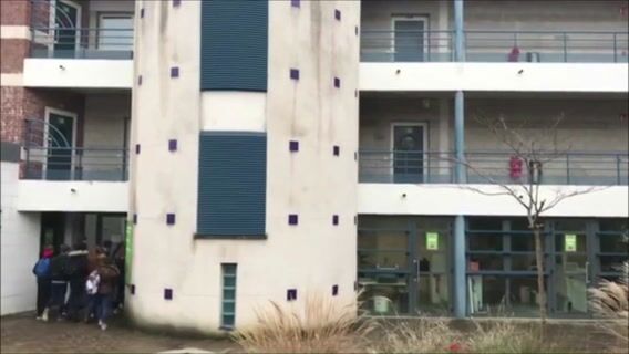 Notre Bac pro Conduite et Gestion d'une Entreprise Hippique (en apprentissage)