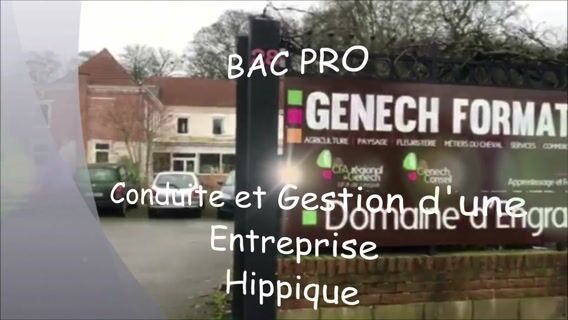 Notre Bac pro Conduite et Gestion d'une Entreprise Hippique (en apprentissage)