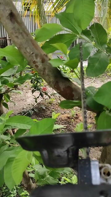 Bộ chuyển đổi lưỡi cưa gỗ. Mua bán Đồ chuyên dụng, Giống nuôi trồng tại Huyện Bến Lức Long An được đăng bởi Phan Tấn hình 1
