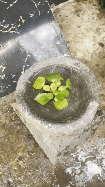 Cối đá Đá. Mua bán Dụng cụ nhà bếp tại Quận 8 Tp Hồ Chí Minh được đăng bởi Huynh tiền  hình 1