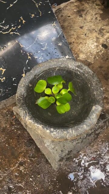 Cối đá Đá. Mua bán Dụng cụ nhà bếp tại Quận 8 Tp Hồ Chí Minh được đăng bởi Huynh tiền  hình 1