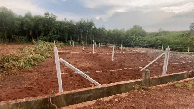 Mua bán Đất Huyện Châu Đức Bà Rịa - Vũng Tàu diện tích 163.1999 m² giá 620 triệu