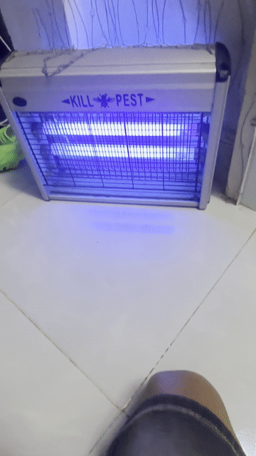 Đèn diệt côn trùng Kill Pest Xám Kim loại. Mua bán Đèn tại Quận 4 Tp Hồ Chí Minh được đăng bởi chim canh  hình 1