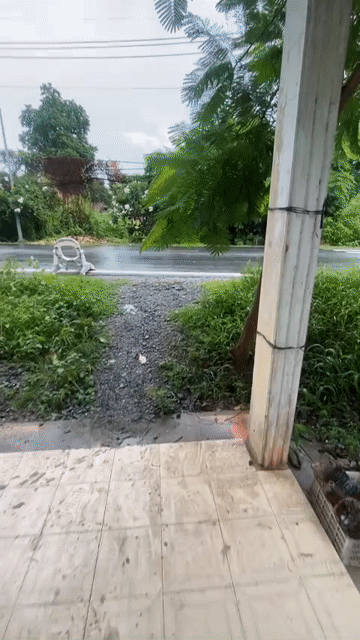 Cho thuê Nhà ở Huyện Củ Chi Tp Hồ Chí Minh diện tích 200 m² giá 6 triệu/tháng