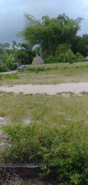 Mua bán Đất Huyện Quế Sơn Quảng Nam diện tích 100 m² giá 380 triệu