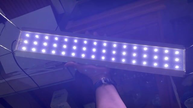 Đèn bể cá Aquablue 60cm. Mua bán Phụ kiện, Thức ăn, Dịch vụ tại Thành phố Biên Hòa Đồng Nai được đăng bởi Lê Hoàng Linh hình 1