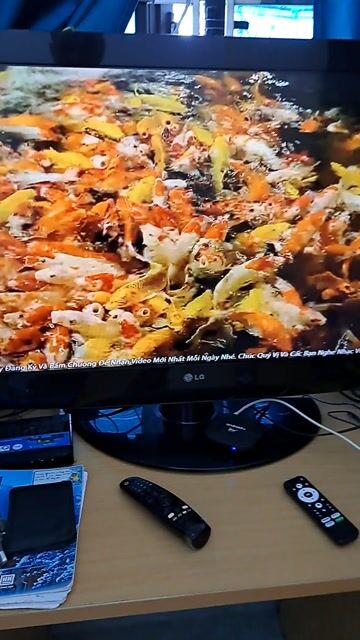 Tivi LG 37 inch Đã qua sử dụng. Mua bán Tivi, Âm thanh tại Huyện Vũ Thư Thái Bình được đăng bởi ĐẶNG DŨNG hình 1