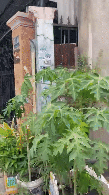 Cho thuê Văn phòng, Mặt bằng kinh doanh Quận 12 Tp Hồ Chí Minh diện tích 200 m² giá 6 triệu/tháng