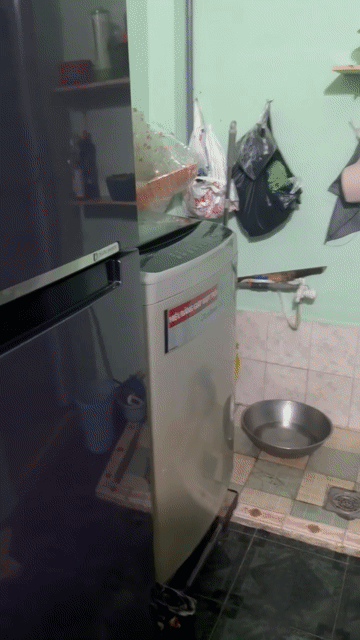 Cho thuê Nhà ở Quận Tân Bình Tp Hồ Chí Minh diện tích 44 m² giá 10 triệu/tháng