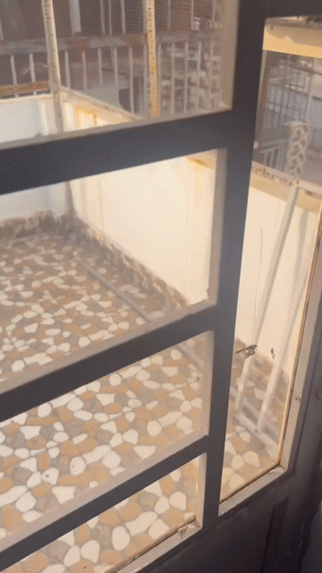 Mua bán Nhà ở Công Viên Văn Hóa Gò Vấp Quận Gò Vấp Tp Hồ Chí Minh diện tích 10 m² giá 980 triệu