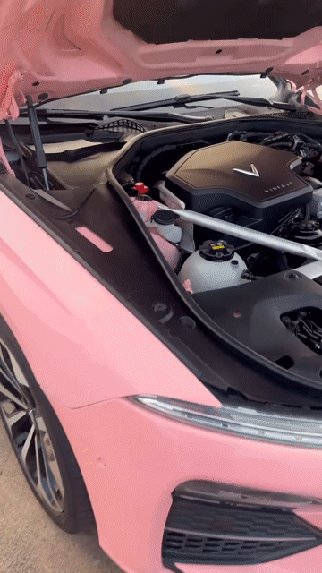 Vinfast Lux A2.0 2019 Premium 68000 km Hồng. Mua bán Ô tô tại Quận Cẩm Lệ Đà Nẵng được đăng bởi Nguyễn Duy hình 1