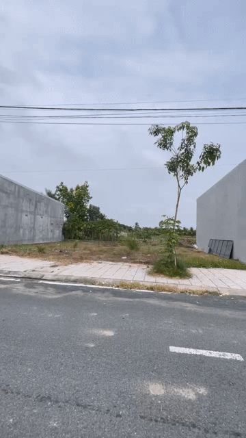 Cho thuê Đất Huyện Châu Thành Hậu Giang diện tích 197 m² giá 5 triệu/tháng