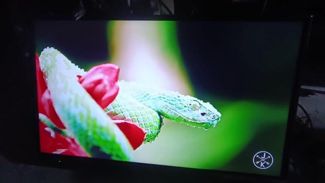 Tivi Panasonic TH-32ES500V. Mua bán Tivi, Âm thanh tại Thành phố Thủ Đức Tp Hồ Chí Minh được đăng bởi Nguyễn Thành Khẩn hình 1