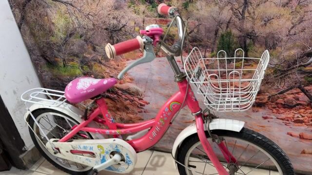 Xe mini SMN 18 inch màu hồng. Mua bán Xe đạp tại Quận Tân Bình Tp Hồ Chí Minh được đăng bởi Bbb hình 1