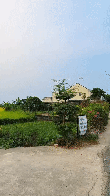 Mua bán Đất Thành phố Hội An Quảng Nam diện tích 400 m² giá 14 tỷ